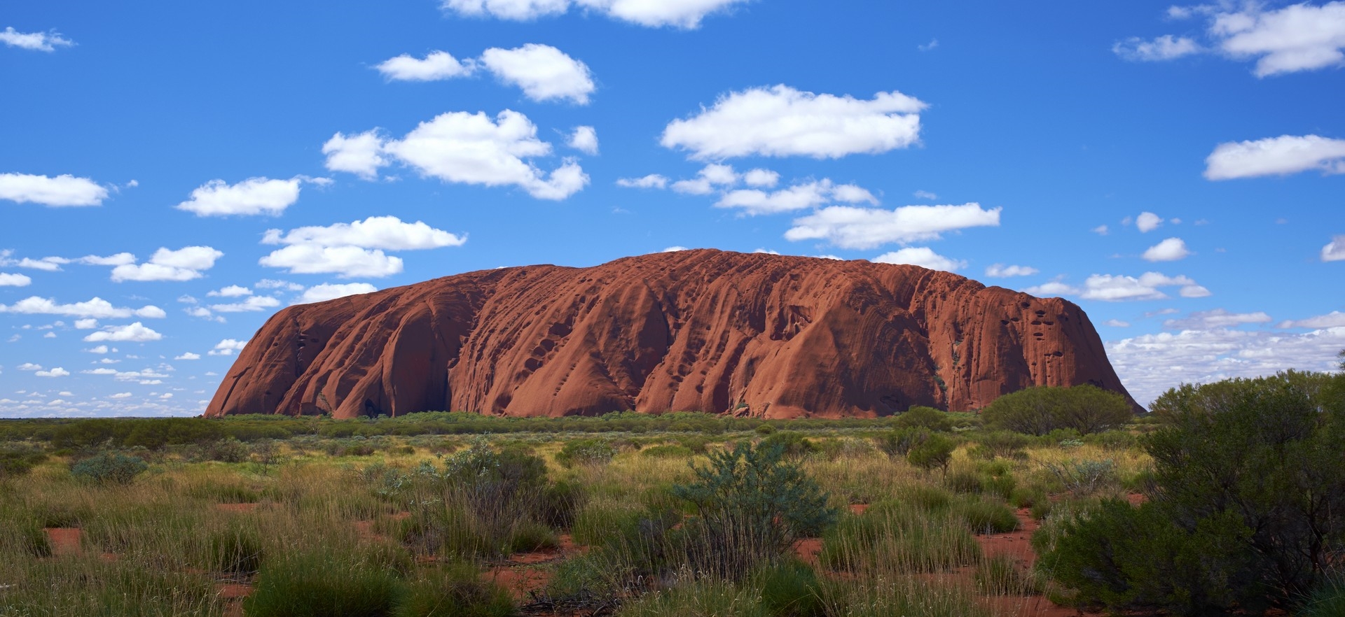 A Journey Through Nature