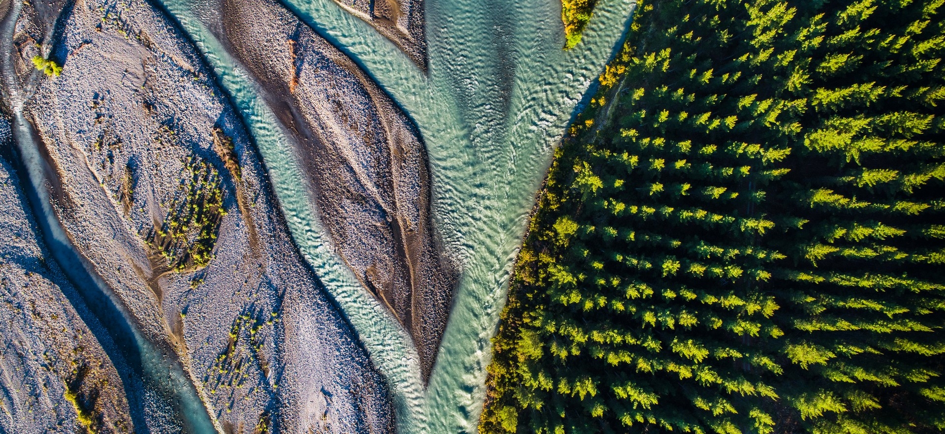 hero-rivers-forest-shores-tribrituaries-south-island-new-zealand