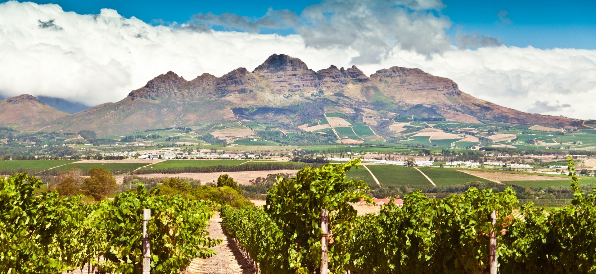 South Africa & Mauritius