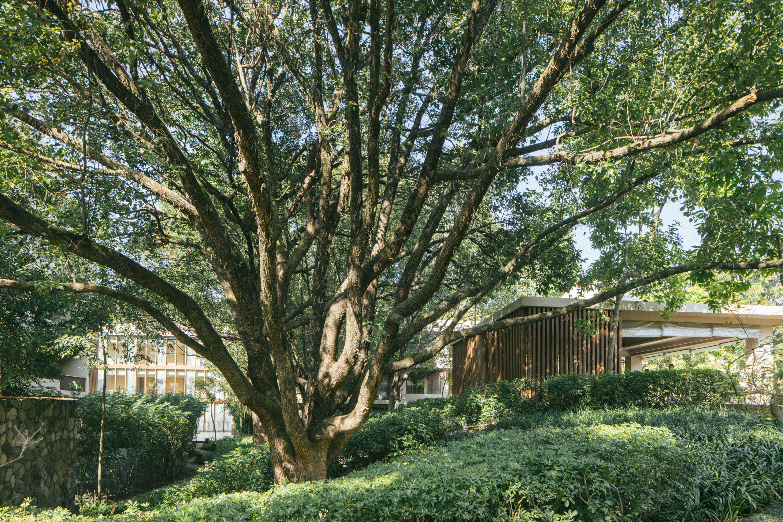 Six Senses Vana Temple Garden